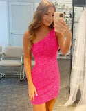 Popular Sequin Bodycon Homecoming Dresses, HZ0307