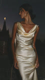Sexy Backless Sheath Prom Dress, Sleeveless Night Party Dress, HZ0307
