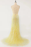 Mermaid Lace Long Prom HZ0307