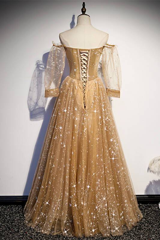 Long Sleeves Champagne Long Evening HZ0307